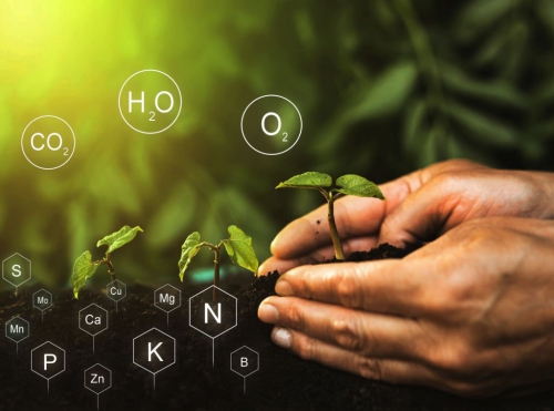 AoV - Hiệu chuẩn thiết bị môi trường