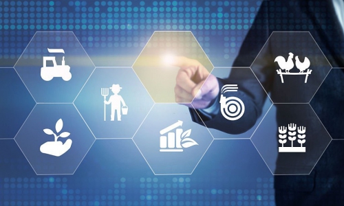 Thử nghiệm thành thạo